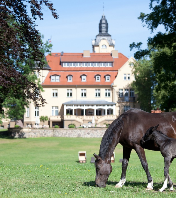 Bernsteinschloss Wendorf