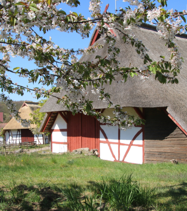 Freilichtmuseum Schwerin-Mueß