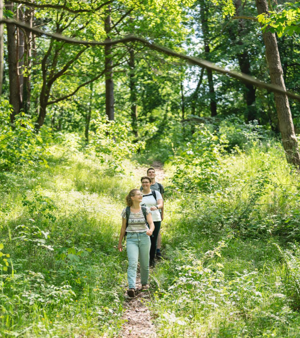 Wandern auf dem Naturparkweg