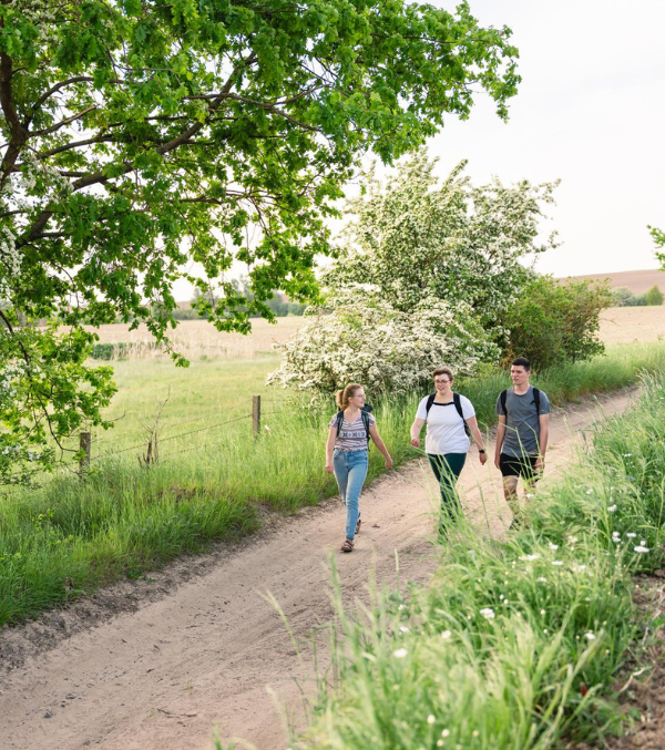 Wandern im Naturpark Sternberger Seenland