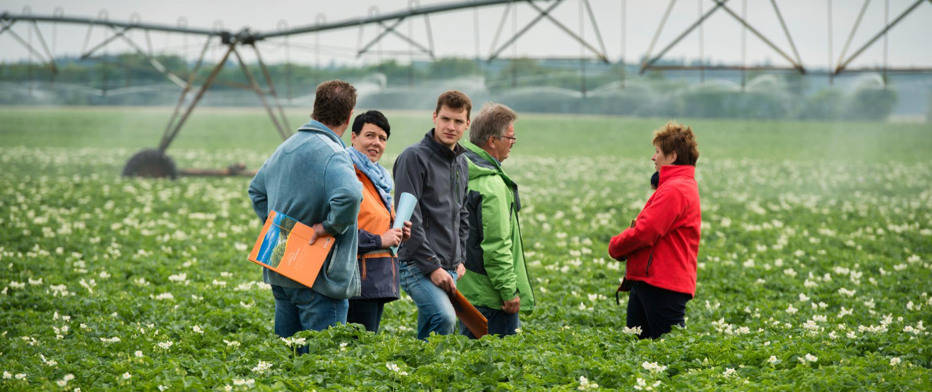 Landwirtschaft in Lübesse