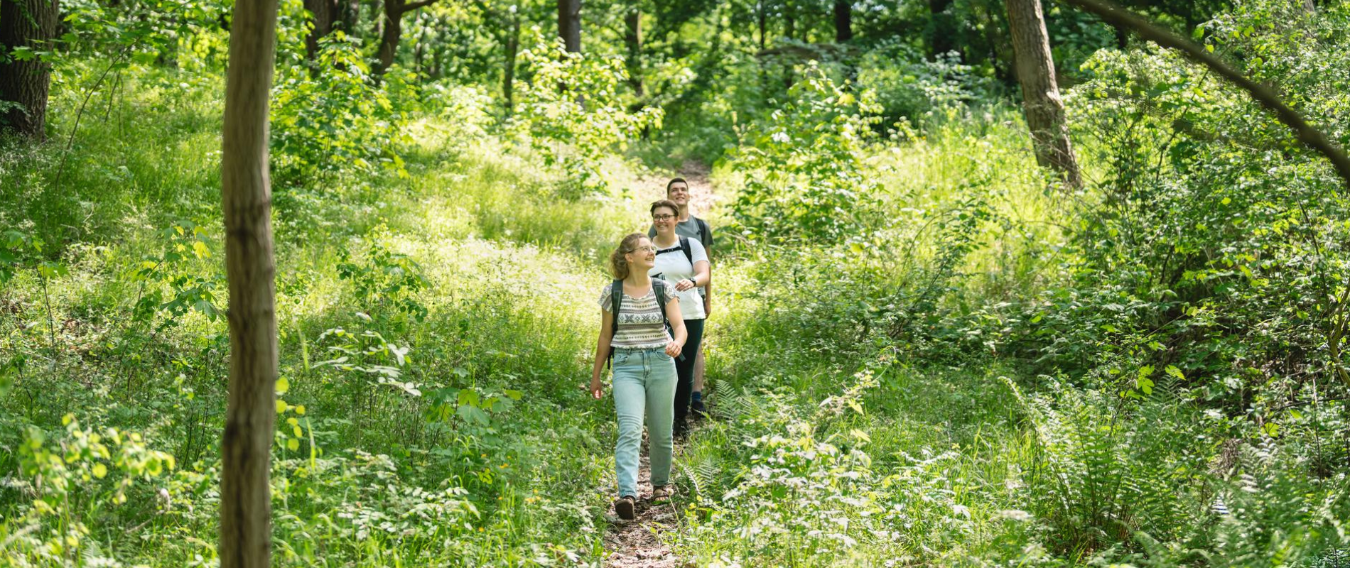 Wanern-auf-dem-naturparkweg