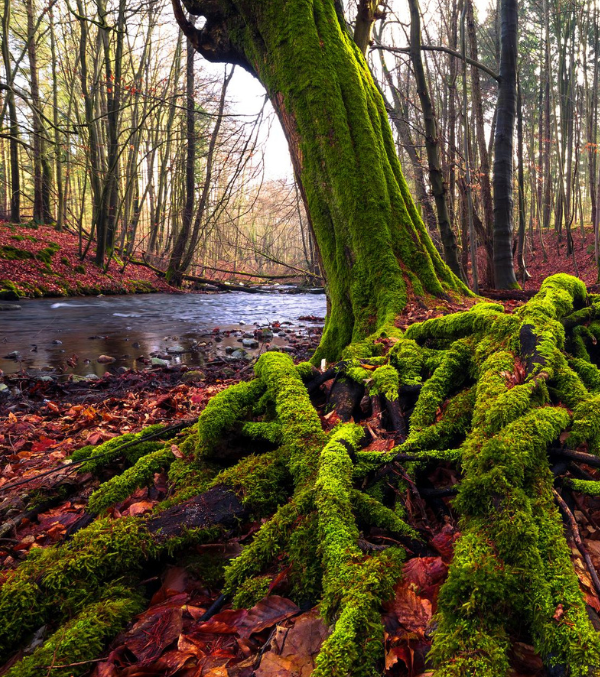 Naturpark Sternberger Seenland