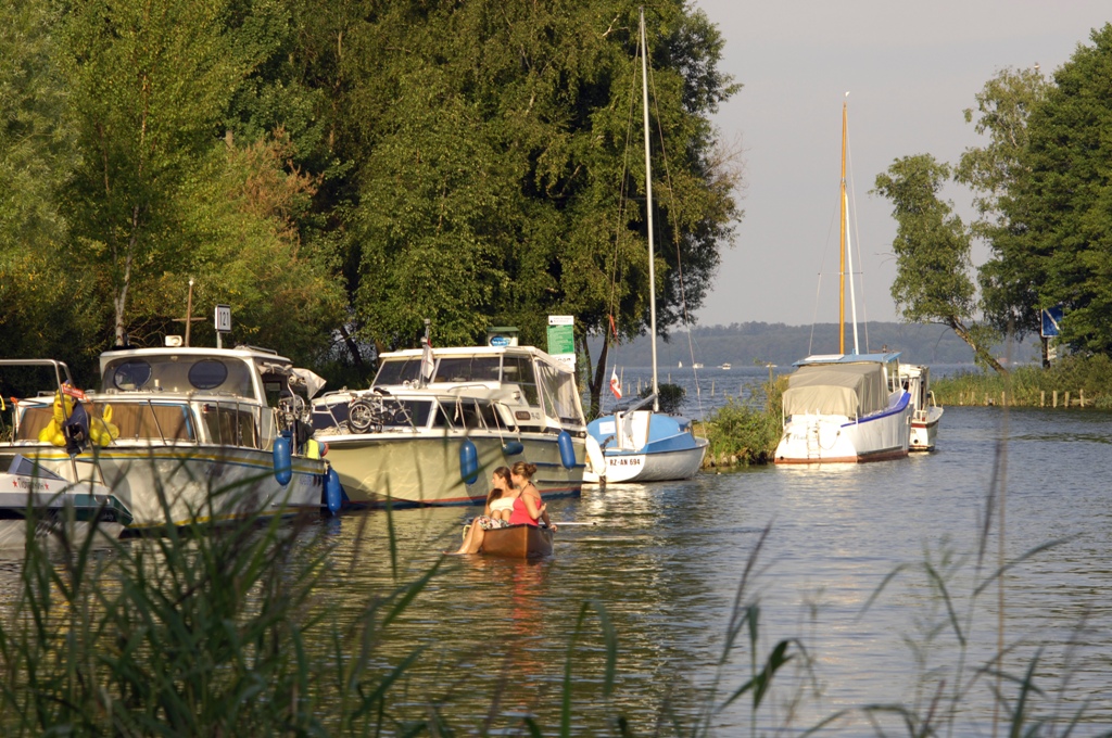 (c) TV Mecklenburg-Schwerin.de