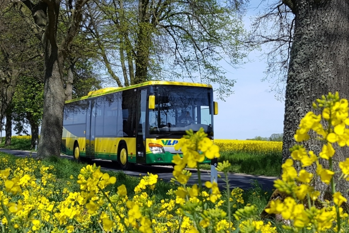Bus im Rapsfeld