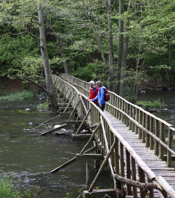 Naturschutzgebiet Warnowdurchbruchstal