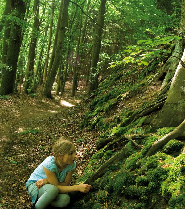 Die Spur der Zaubersteine ist ein Erlebniswanderweg im Plauer Stadtwald