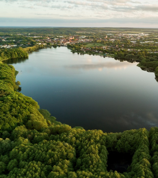 Blick auf den Wockersee